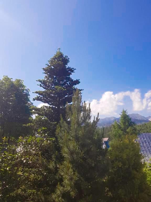 Pokoje Gosinne U Ani i Andrzeja Ciche Małe Exteriér fotografie